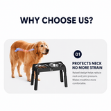 Darrahopens Pet Care > Dog Supplies > Dog Bowls, Feeders & Waterers Grey Adjustable Elevated Dog Bowl Stand with Stainless Steel Double Bowls, Foldable Raised Pet Feeding Station for Medium & Large Dogs, Anti-Slip Height Adjustable Food and Water Feeder