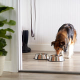 Darrahopens Pet Care > Dog Supplies > Dog Bowls, Feeders & Waterers Non Slip Stainless Steel Dog Bowl Pet Cat Water Food Feeder Portable Puppy Dish - Large (500ml)