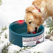 Darrahopens Pet Care > Dog Supplies > Dog Bowls, Feeders & Waterers Pet Heated Bowl, 2000ml Thermal Automatic Constant Temperature Pet Heating Feeding Drinking Bowls Small, Medium Large and Cats In Australia - Darrahopens