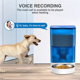 Darrahopens Pet Care > Dog Supplies > Dog Bowls, Feeders & Waterers Smart Pet Feeder with WiFi and Button Control, 4L Automatic Cat and Dog Food Dispenser with Removable Stainless Steel Bowl, Ideal for Busy Owners, Travel, and Home Use (Orange, WIFI Version) In Australia - Darrahopens