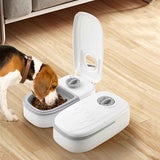 Timer Controlled Pet Feeder for Cats & Small Dogs Wet/Dry Food Style 2
