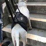 Darrahopens Pet Care > Dog Supplies > Dog Carriers & Crates Pet Dog Support Harness Walking Vest Dog Sling Support Sling Gray - M