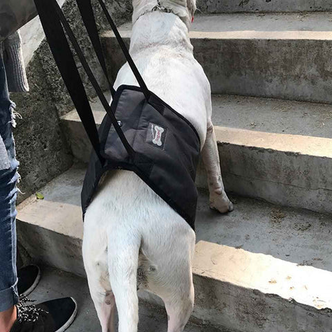 Darrahopens Pet Care > Dog Supplies > Dog Carriers & Crates Pet Dog Support Harness Walking Vest Dog Sling Support Sling Gray - S