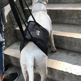 Darrahopens Pet Care > Dog Supplies > Dog Carriers & Crates Pet Dog Support Harness Walking Vest Dog Sling Support Sling Gray - XL