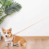 5M RGB Light Pet Leads Retractable Traction Rope Pet Cat Dog Leash Orange