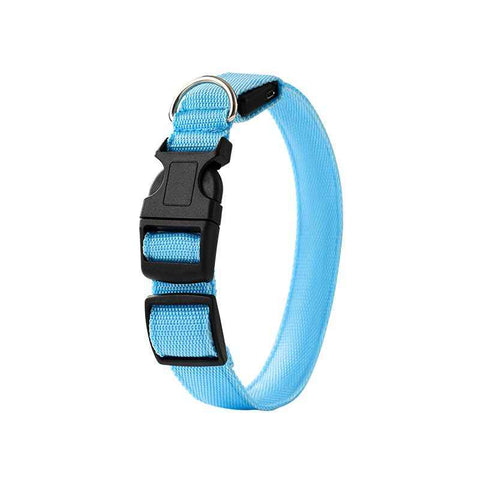 Darrahopens Pet Care > Dog Supplies > Dog Collars, Leads & Harnesses LED Light-Up Pet Collar, Large, Adjustable, USB Rechargeable, for Cats and Dogs, Nighttime Anti-Lost– Blue