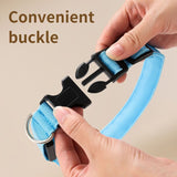 Darrahopens Pet Care > Dog Supplies > Dog Collars, Leads & Harnesses LED Light-Up Pet Collar, Large, Adjustable, USB Rechargeable, for Cats and Dogs, Nighttime Anti-Lost– Blue