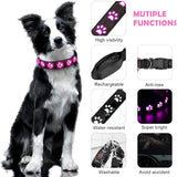 Darrahopens Pet Care > Dog Supplies > Dog Collars, Leads & Harnesses LED Luminous Dog Collar, Rechargeable and Waterproof Dog Collar, Adjustable Collar with 7 Light Modes (Colorful-M)