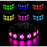 Darrahopens Pet Care > Dog Supplies > Dog Collars, Leads & Harnesses LED Luminous Dog Collar, Rechargeable and Waterproof Dog Collar, Adjustable Collar with 7 Light Modes (Colorful-M)