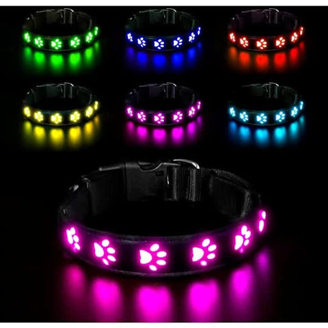 Darrahopens Pet Care > Dog Supplies > Dog Collars, Leads & Harnesses LED Luminous Dog Collar, Rechargeable and Waterproof Dog Collar, Adjustable Collar with 7 Light Modes (Colorful-M)