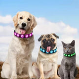 Darrahopens Pet Care > Dog Supplies > Dog Collars, Leads & Harnesses LED Luminous Dog Collar, Rechargeable and Waterproof Dog Collar, Adjustable Collar with 7 Light Modes (Colorful-M)