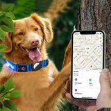 Luminous LED Pet Dog Collar Light-up USB Rechargeable Dog Collar Blue - M