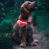 Luminous LED Pet Dog Collar Light-up USB Rechargeable Dog Collar Red - M