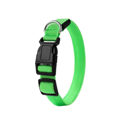 Darrahopens Pet Care > Dog Supplies > Dog Collars, Leads & Harnesses Pet LED Light-Up Collar, Large, Adjustable, USB Rechargeable, for Cats and Dogs, Nighttime Anti-Lost - Green
