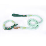 Darrahopens Pet Care > Dog Supplies > Dog Collars, Leads & Harnesses Premium Leather Pet Collar and Leash - Soft, Strong Braided Rope (Green - Size M)
