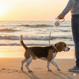 Darrahopens Pet Care > Dog Supplies > Dog Collars, Leads & Harnesses Retractable Dog Leash – 16.5 ft Automatic Walking Lead with One-Hand Brake Lock & Anti-Tangle Nylon Tape – Heavy-Duty 55 lb Capacity – Ideal for Small to Medium Dogs (Brown)