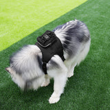 Darrahopens Pet Care > Dog Supplies > Dog Collars, Leads & Harnesses Size L Black Ultimate Dog Harness Vest with Backpack - Padded, Reflective & Adjustable for Medium to Large Breeds