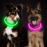Darrahopens Pet Care > Dog Supplies > Dog Collars, Leads & Harnesses USB Rechargeable LED Glow Pet Collar, Soft Silicone Night Safety Dog & Cat Collar with 6 Colors, 3 Modes, Adjustable Length for Small, Medium, Large Pets, Ideal for Evening Walks and Outdoor Visibility (M, Red) In Australia - Darrahopens