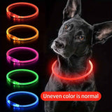 Darrahopens Pet Care > Dog Supplies > Dog Collars, Leads & Harnesses USB Rechargeable LED Glow Pet Collar, Soft Silicone Night Safety Dog & Cat Collar with 6 Colors, 3 Modes, Adjustable Length for Small, Medium, Large Pets, Ideal for Evening Walks and Outdoor Visibility (M, Red) In Australia - Darrahopens