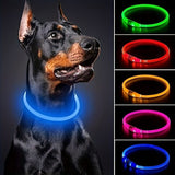 Darrahopens Pet Care > Dog Supplies > Dog Collars, Leads & Harnesses USB Rechargeable LED Glow Pet Collar, Soft Silicone Night Safety Dog & Cat Collar with 6 Colors, 3 Modes, Adjustable Length for Small, Medium, Large Pets, Ideal for Evening Walks and Outdoor Visibility (M, Red) In Australia - Darrahopens