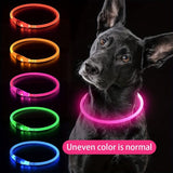 Darrahopens Pet Care > Dog Supplies > Dog Collars, Leads & Harnesses USB Rechargeable LED Glow Pet Collar, Soft Silicone Night Safety Dog & Cat Collar with 6 Colors, 3 Modes, Adjustable Length for Small, Medium, Large Pets, Ideal for Evening Walks and Outdoor Visibility (M, Red) In Australia - Darrahopens