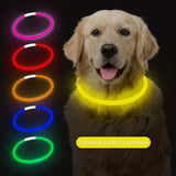 Darrahopens Pet Care > Dog Supplies > Dog Collars, Leads & Harnesses USB Rechargeable LED Glow Pet Collar, Soft Silicone Night Safety Dog & Cat Collar with 6 Colors, 3 Modes, Adjustable Length for Small, Medium, Large Pets, Ideal for Evening Walks and Outdoor Visibility (M, Red) In Australia - Darrahopens