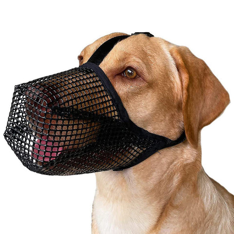 Darrahopens Pet Care > Dog Supplies > Dog Muzzles 2 Pcs Size S Black Breathable Mesh Dog Muzzle - Anti-Barking, Biting & Chewing - Adjustable & Comfortable Nylon Muzzle for Dogs