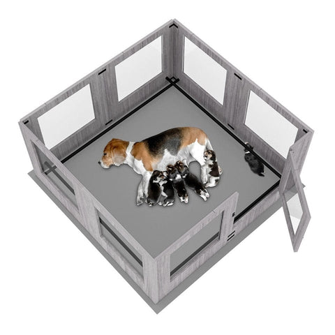 Darrahopens Pet Care > Dog Supplies > Dog Playpens & Gates Fin Xl Safest Tempered Glass Dog Whelping Pen Box Shatter-Proof Playpen Exercise Box