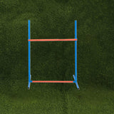 Darrahopens Pet Care > Dog Supplies > Dog Training Aids Dog Agility Training Set for Pets