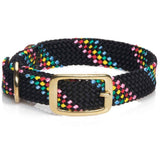 Darrahopens Pet Care > Dog Supplies Mendota Doublebraided Collar 18"  BLACK CONFETTI