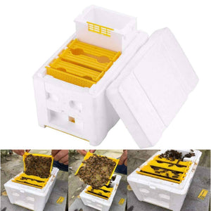 Darrahopens Pet Care > Farm Supplies Mini Mating Box Queen Bee Rearing Plastic Styrene Foam Hive Harvest Copulation