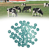 Darrahopens Pet Care > Farm Supplies > Pet ID Tags 50PCS Numbered Label Numbered Tag for Farm Livestock Beekeeping Husbandry Breeding Supplies51-100 Green In Australia - Darrahopens