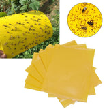 Darrahopens Pet Care > Pest Control > Household Insect Repellents 20Pcs 20x15cm Insect Trap Non Toxic Efficient PVC Yellow Fly Trap for Greenhouse Garden In Australia - Darrahopens