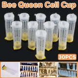 Darrahopens Pet Care > Pest Control > Household Insect Repellents 30pcs Bee Protective Covers Multi Functional King Cage Bee Bite Protector Shield