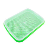 Darrahopens Pet Care > Pest Control > Household Insect Repellents Double Layer Microgreens Tray for Hydroponic Seeding Germination Wheatgrass