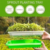 Darrahopens Pet Care > Pest Control > Household Insect Repellents Double Layer Microgreens Tray for Hydroponic Seeding Germination Wheatgrass
