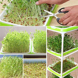 Darrahopens Pet Care > Pest Control > Household Insect Repellents Double Layer Microgreens Tray for Hydroponic Seeding Germination Wheatgrass