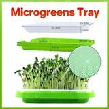 Darrahopens Pet Care > Pest Control > Household Insect Repellents Double Layer Microgreens Tray for Hydroponic Seeding Germination Wheatgrass