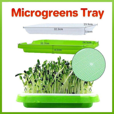 Darrahopens Pet Care > Pest Control > Household Insect Repellents Double Layer Microgreens Tray for Hydroponic Seeding Germination Wheatgrass