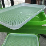 Darrahopens Pet Care > Pest Control > Household Insect Repellents Double Layer Microgreens Tray for Hydroponic Seeding Germination Wheatgrass