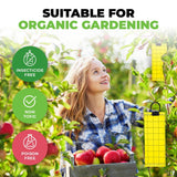 Darrahopens Pet Care > Pest Control SAS Pest Control 120PCE Aphid Glue Sheets With Hooks Biodegradable Waterproof