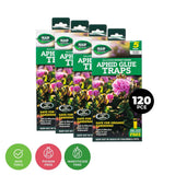 Darrahopens Pet Care > Pest Control SAS Pest Control 120PCE Aphid Glue Sheets With Hooks Biodegradable Waterproof