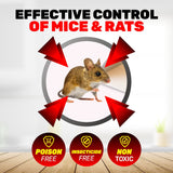 Darrahopens Pet Care > Pest Control SAS Pest Control 12PCE Rat Trap Metal Cage Reusable Indoor Outdoor Use 24cm