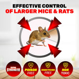 Darrahopens Pet Care > Pest Control SAS Pest Control 144PCE Rat Mouse Traps Extra Large Super Strong 20.5 x 11cm