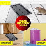 Darrahopens Pet Care > Pest Control SAS Pest Control 144PCE Rat Mouse Traps Extra Large Super Strong 20.5 x 11cm
