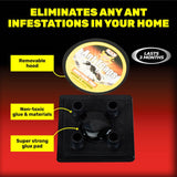 Darrahopens Pet Care > Pest Control SAS Pest Control 192PCE Ant Traps Fast Acting Indoor/Outdoor Disposable