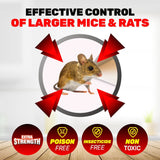 Darrahopens Pet Care > Pest Control SAS Pest Control 48PCE Rat Mouse Traps Ready To Use & Disposable 20.5 x 11cm