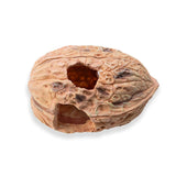 Darrahopens Pet Care > Reptile & Amphibian Supplies > Reptile & Amphibian Habitat Accessories Pet Climbing Shelter Simulated Walnut Resting Box Small Animal Hideaway Decor