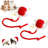 Darrahopens Pet Care > Toys > Cat Toys 2 pcs 360° Smart Automatic Rolling Pet Ball, Rechargeable Irregular Movement for Cats & Dogs, Red