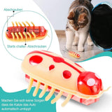 Darrahopens Pet Care > Toys > Cat Toys 7/4-piece interactive pet toy - electric pet toy, mini beetle, interactive small insect, toy for cat and dog